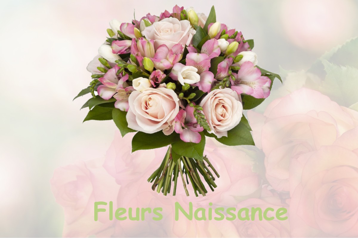 fleurs naissance BRUGNY-VAUDANCOURT